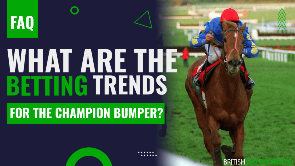 What are the betting trends for the Champion Bumper
