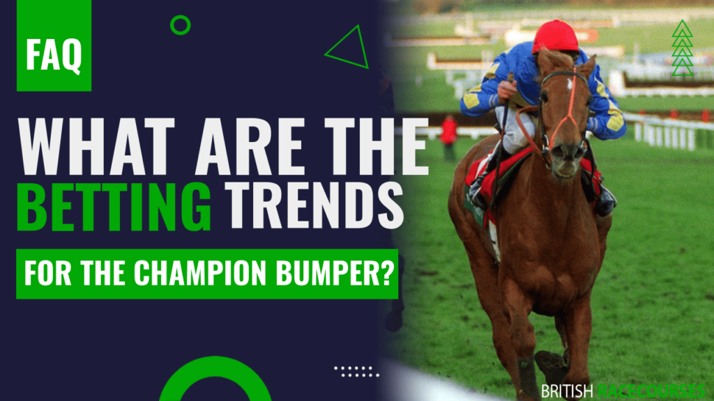 Champion Bumper 2 What are the betting trends for the Champion Bumper
