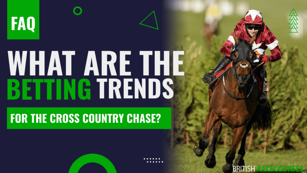 What are the betting trends for the Cross Country Chase