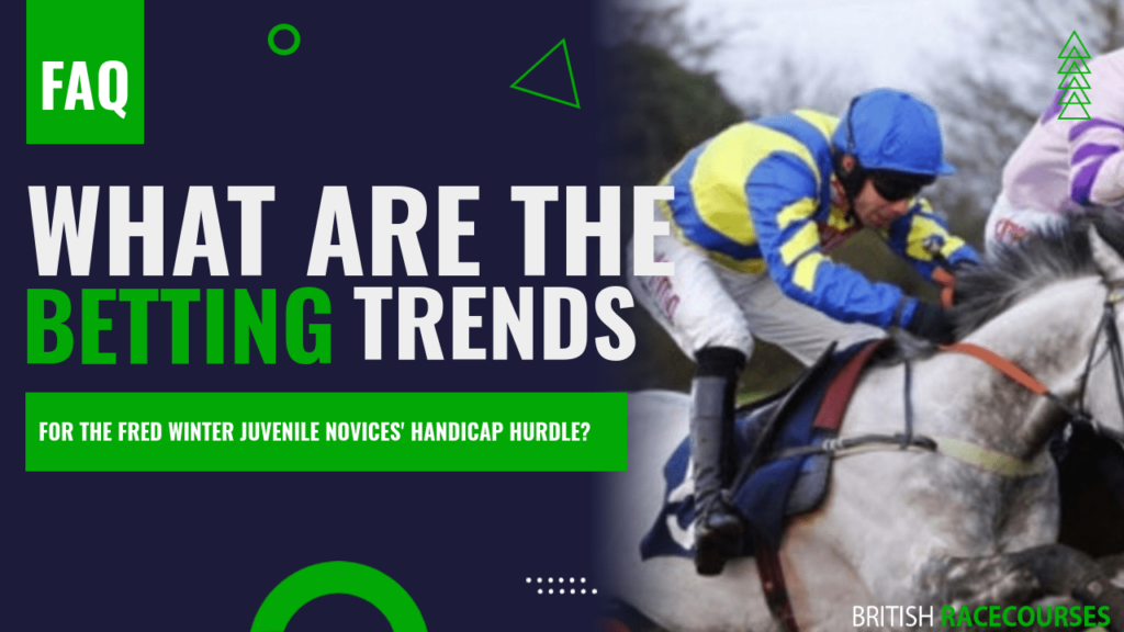 What are the betting trends for the fred winter juvenile novices handicap hurdle