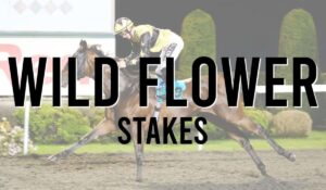 Listed Horse Races 135 Wild Flower Stakes