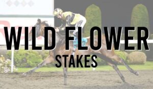 Wild Flower Stakes