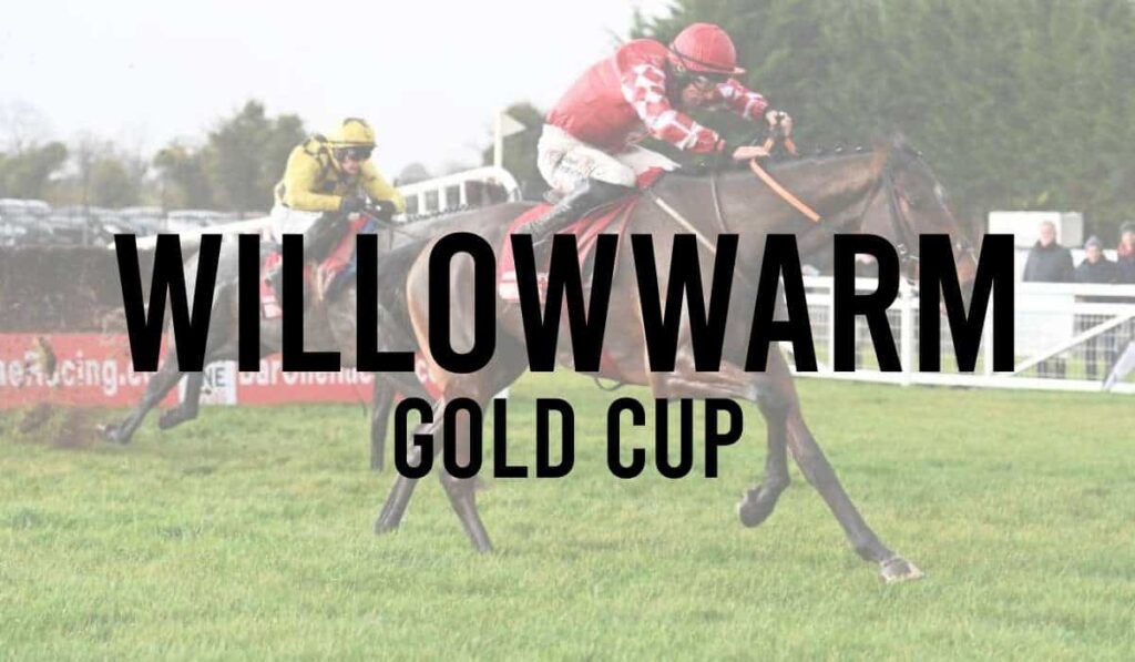 Fairyhouse WillowWarm Gold Cup