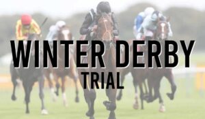Listed Horse Races 19 Winter Derby Trial