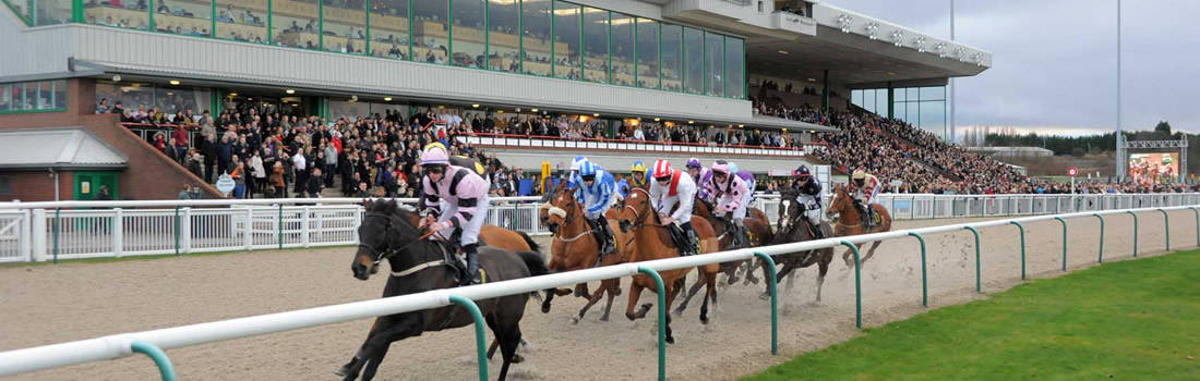 Wolverhampton Racecourse Guide 2 Wolverhampton Racecourse
