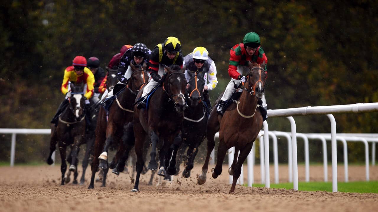 Wolverhampton Racecourse Guide 4 Wolverhampton Races