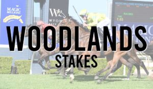 Woodlands Stakes