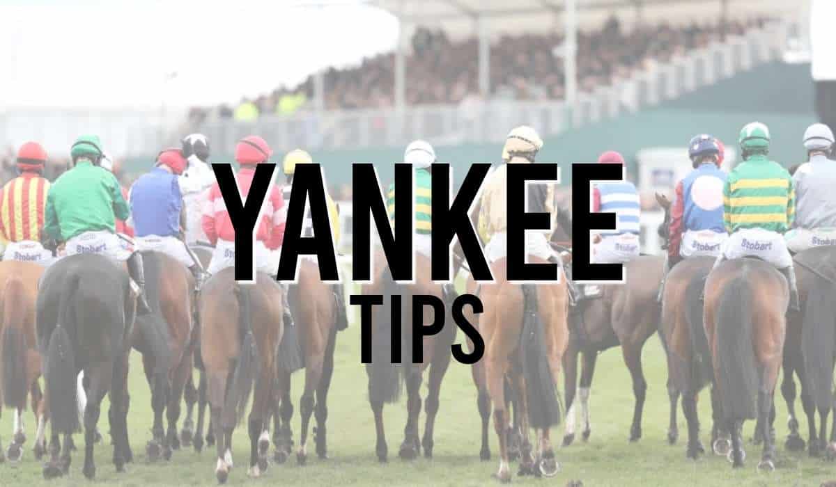 Yankee Tips