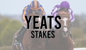 Irish Listed Horse Races 24 Yeats Stakes