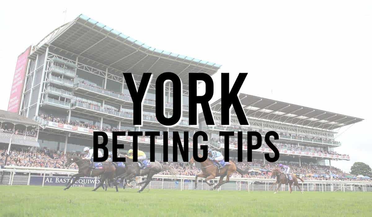 new york betting tips