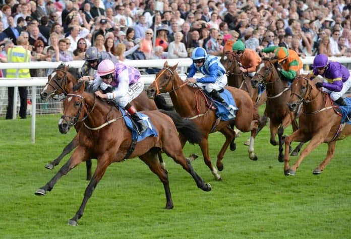 York Ebor Festival Day 4 20 York Ebor Day 4