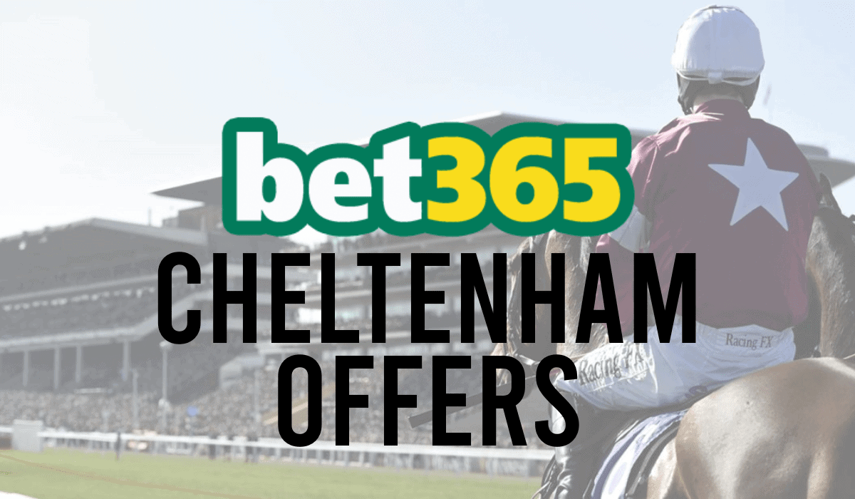 bet365 Cheltenham Offers