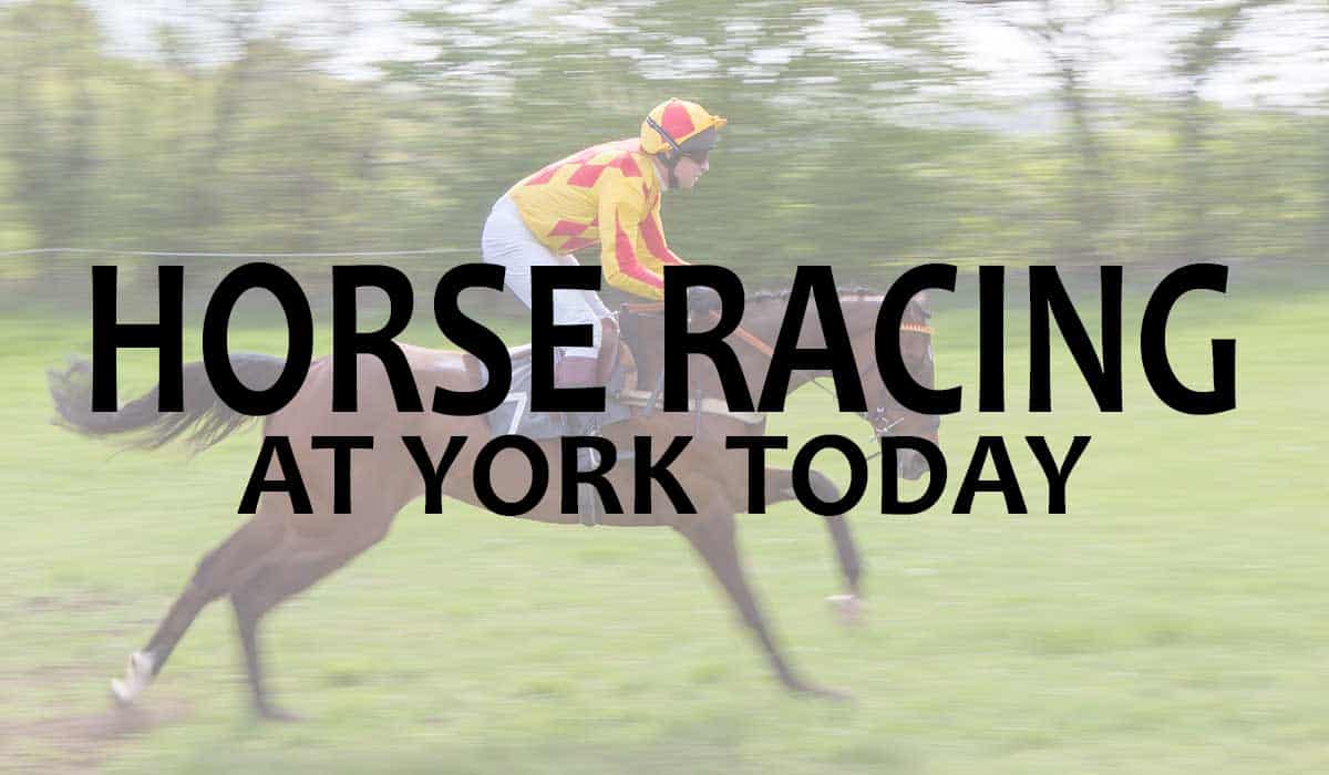 Horse Racing At York Today