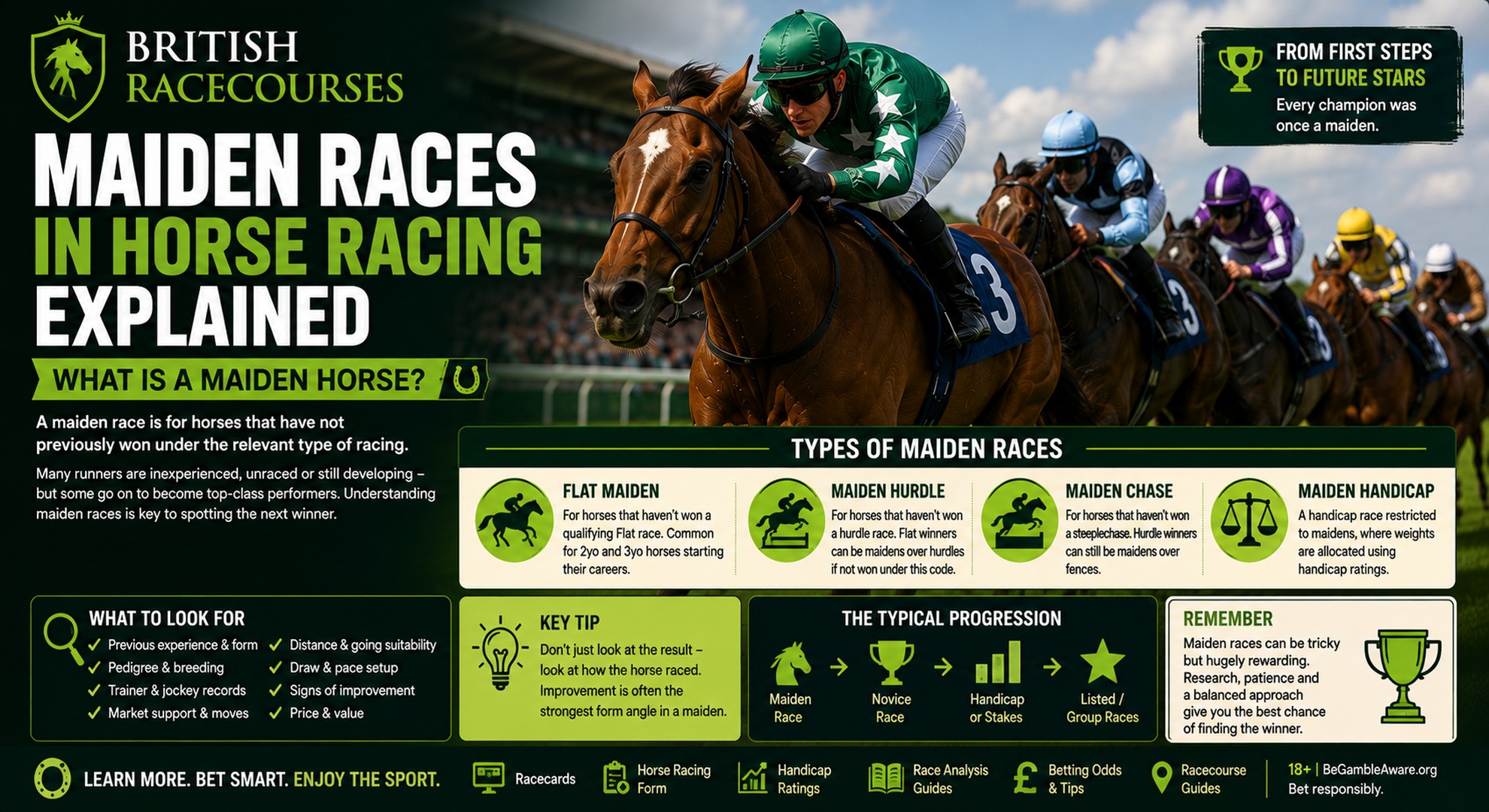 Maiden Races in Horse Racing Explained: What Is a Maiden Horse? 4 maiden races