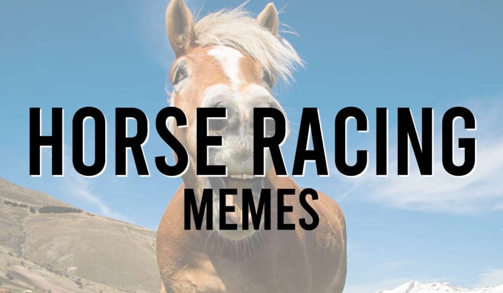 Horse Racing Memes