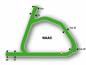 Naas Racecousre Map