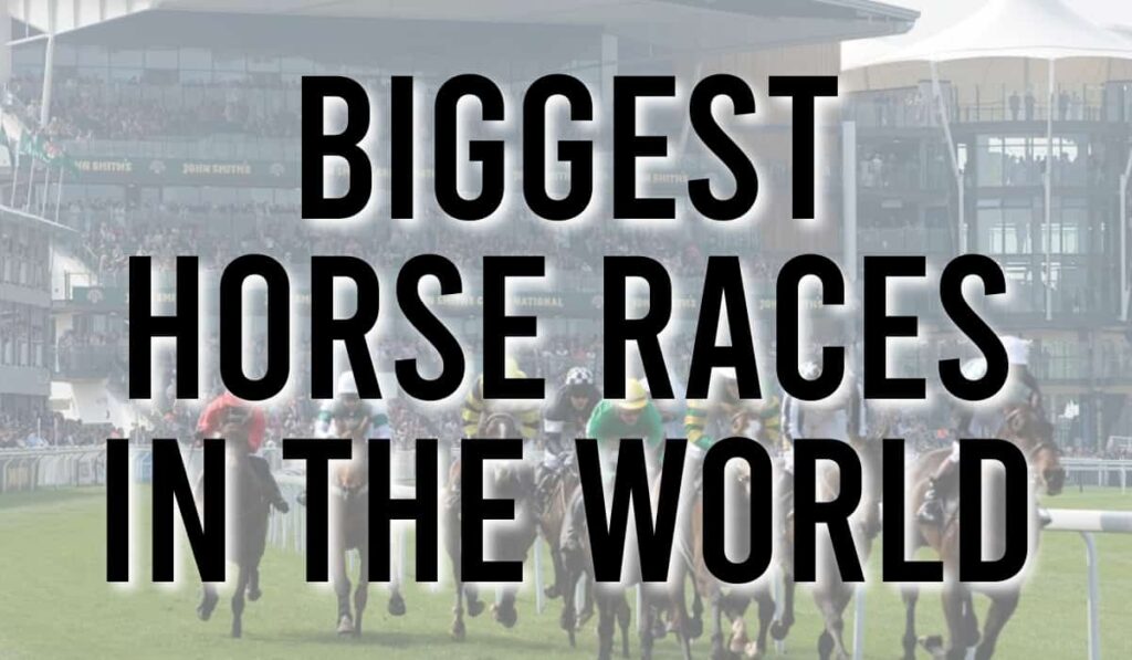 Biggest Horse Races in The World