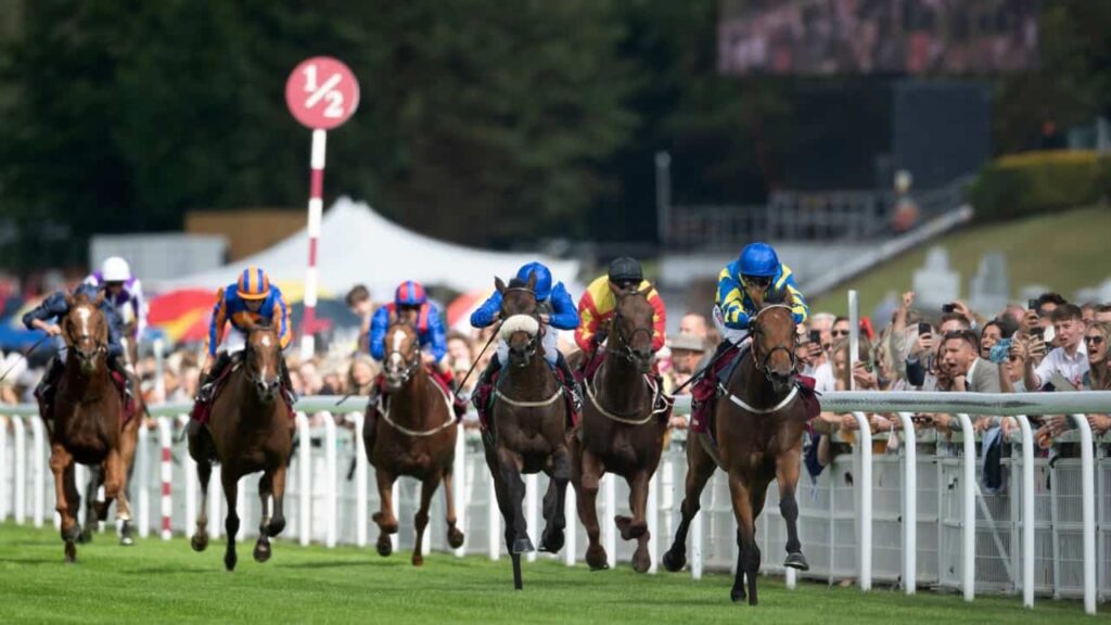 Goodwood Cup