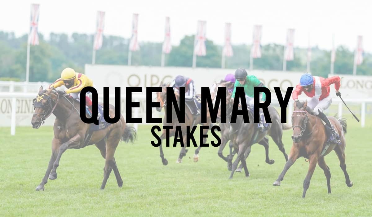 Queen mary stakes betting line cash out live betting strategies