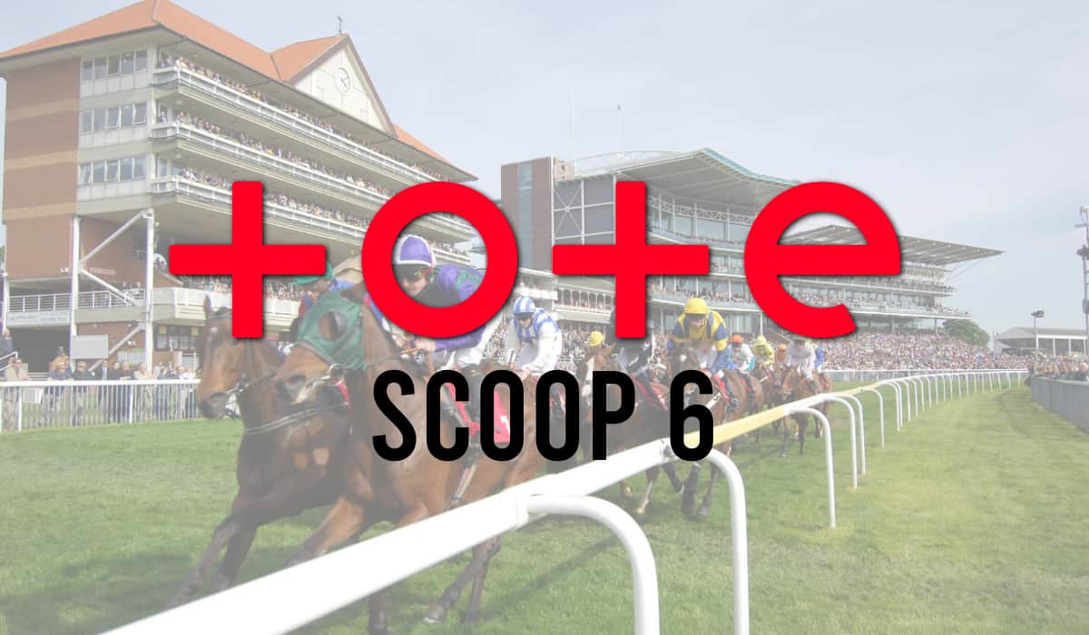 bet on the scoop 6 place
