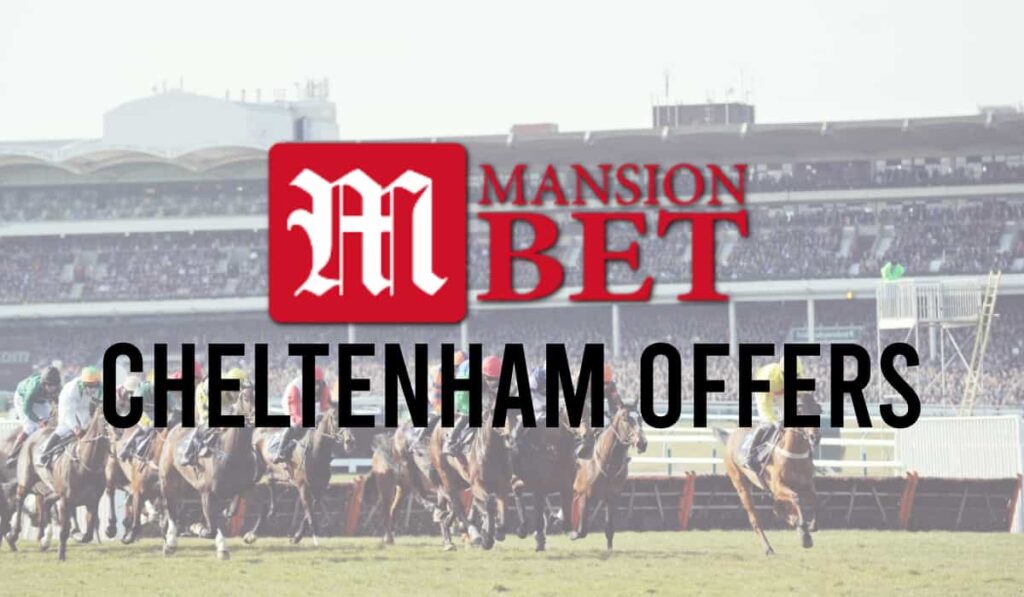 Mansionbet Cheltenham Offers