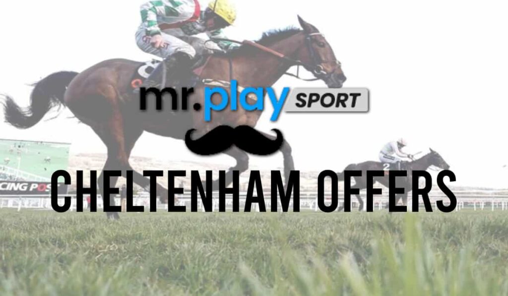Mr Play Cheltenham Offers