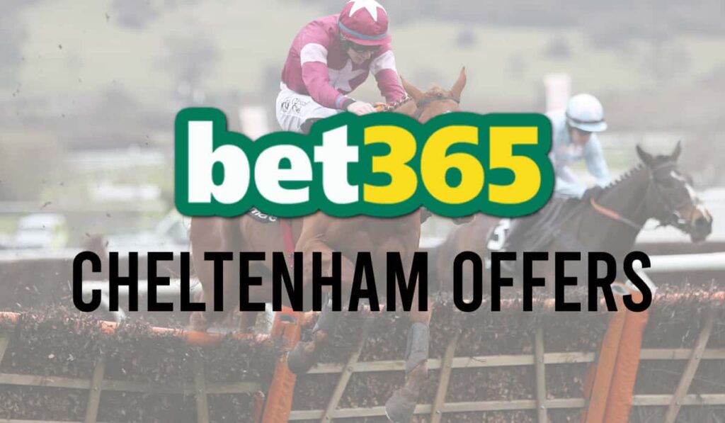 bet365 Cheltenham Offers