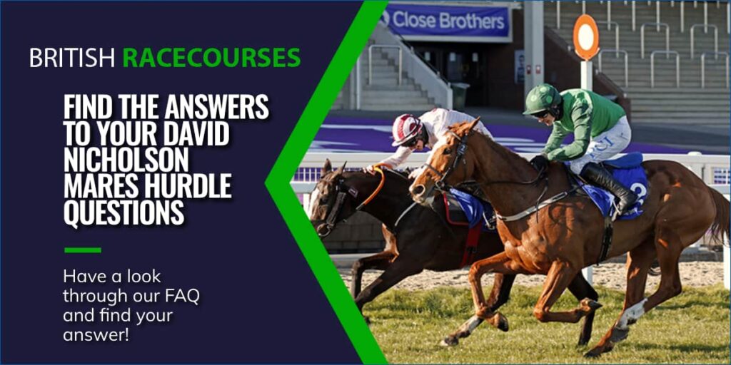 FIND THE ANSWERS TO YOUR DAVID NICHOLSON MARES HURDLE QUESTIONS