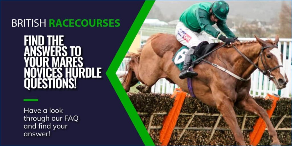 FIND THE ANSWERS TO YOUR MARES NOVICES HURDLE QUESTIONS!