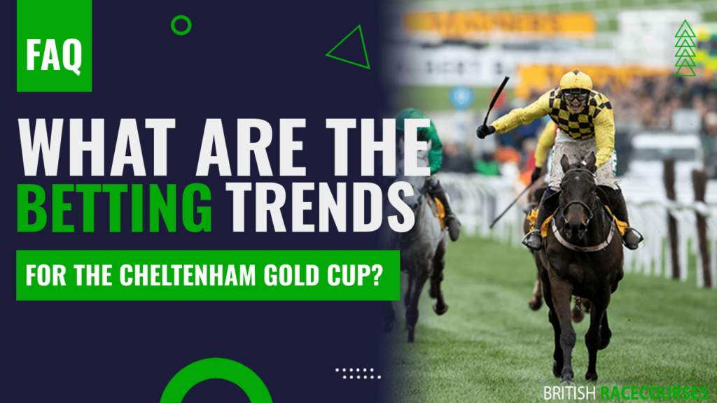 What are the betting trends for the Cheltenham Gold Cup?