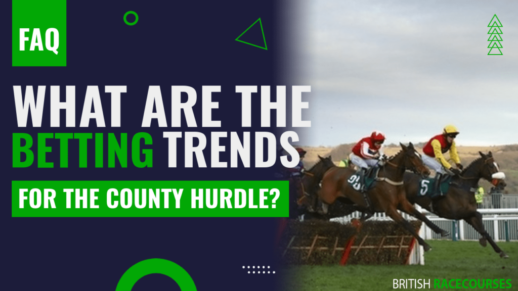 What are the betting trends for the County Hurdle