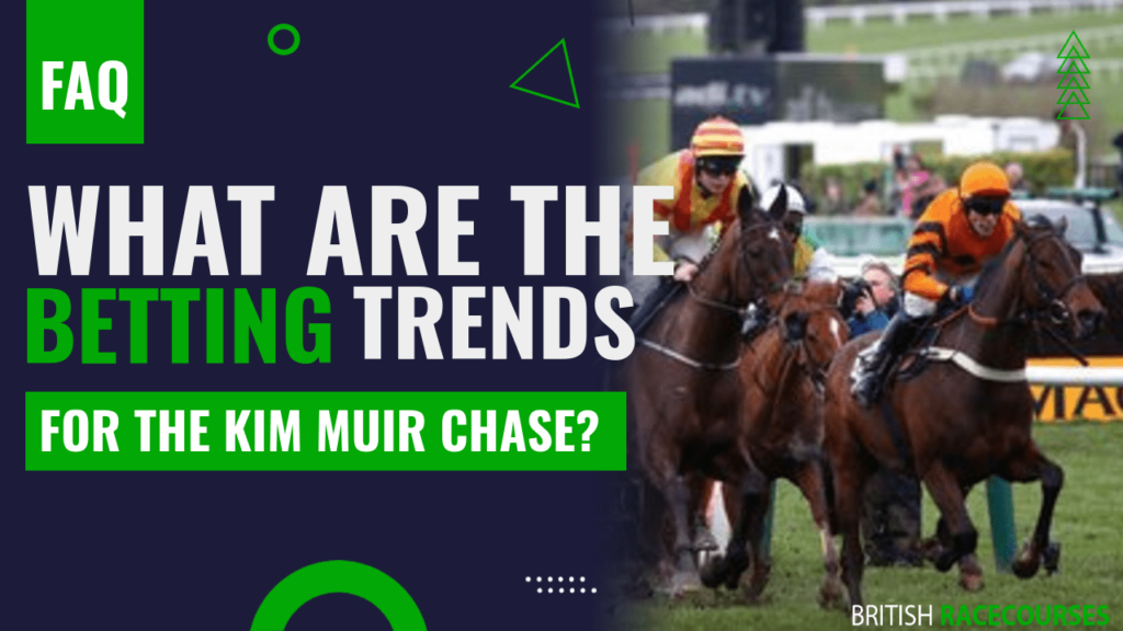 What are the betting trends for the Kim Muir Chase