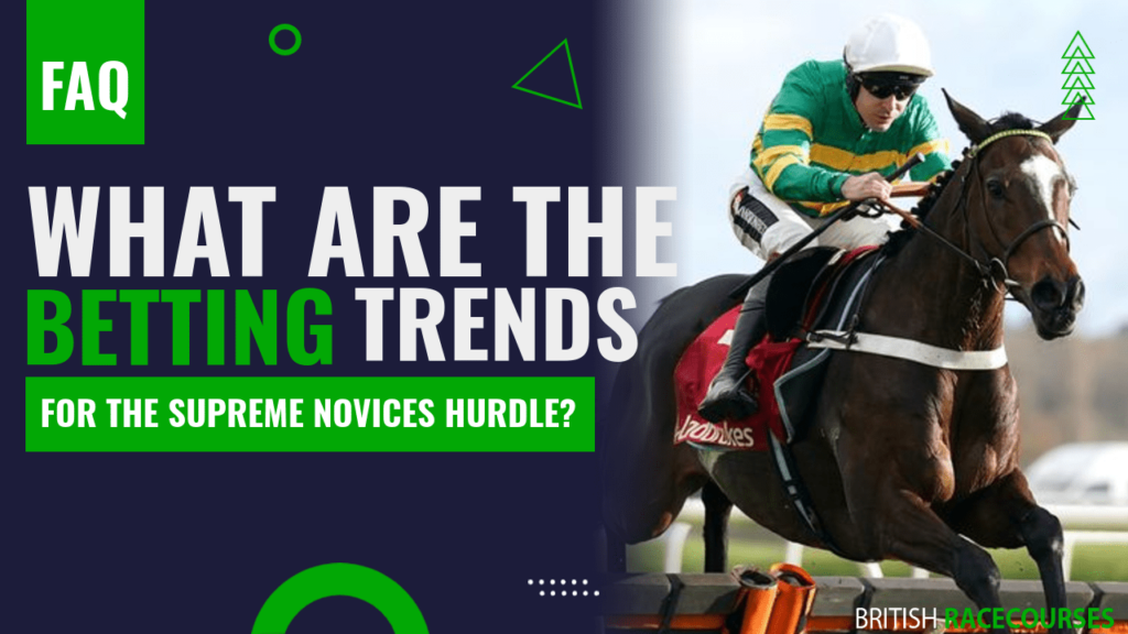 What are the betting trends for the Supreme Novices Hurdle