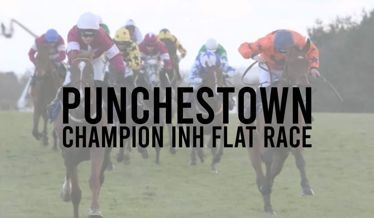 Punchestown Champion INH Flat Race