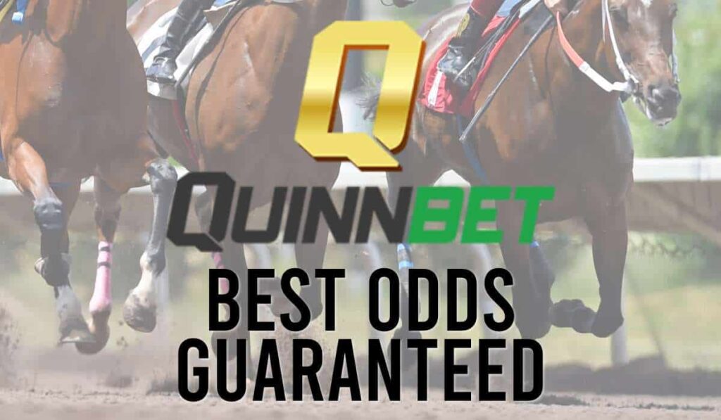 Quinnbet Best Odds Guaranteed