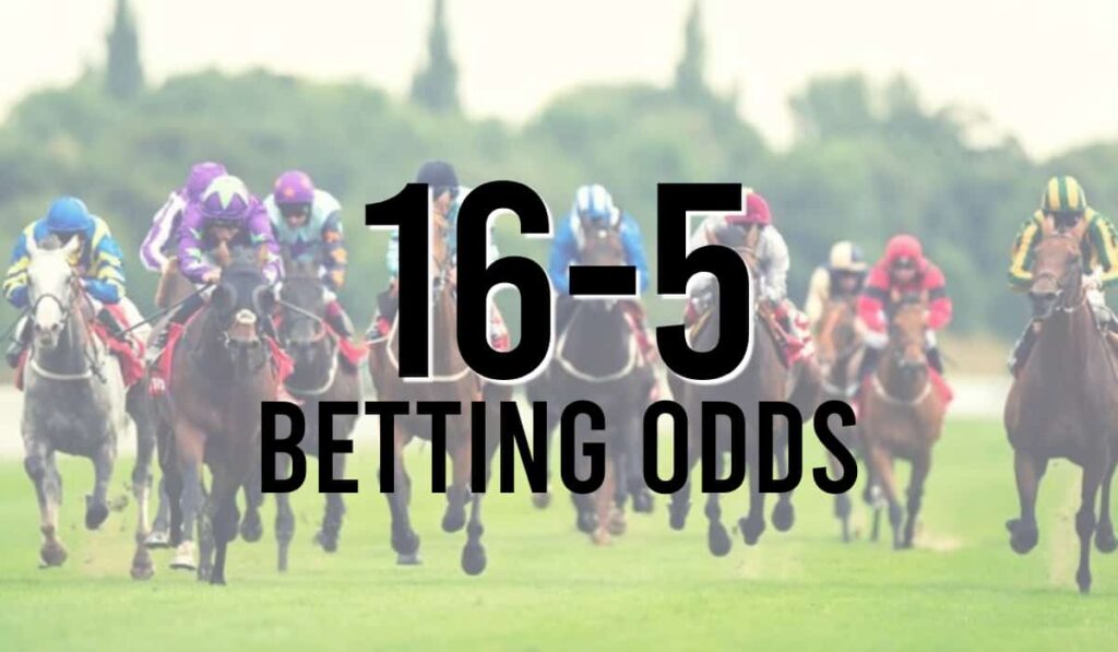 16-5 Betting Odds