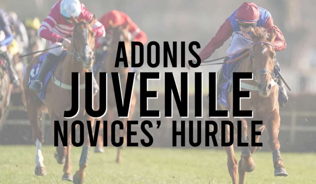 Adonis Juvenile Novices' Hurdle