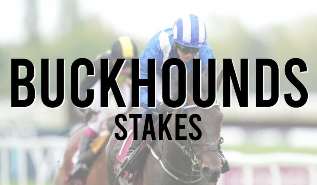 Buckhounds Stakes