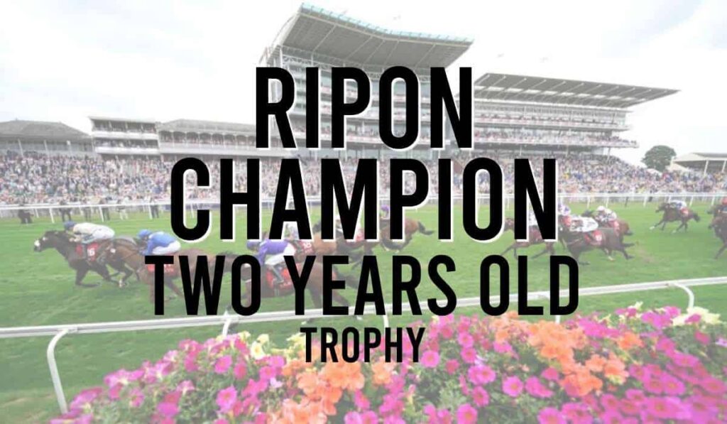 Ripon Champion Two Years Old Trophy