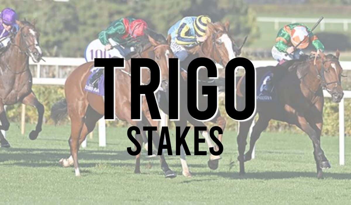 Trigo Stakes