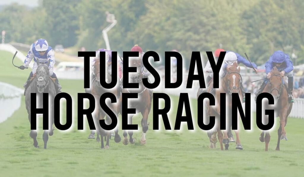 Tuesday Horse Racing