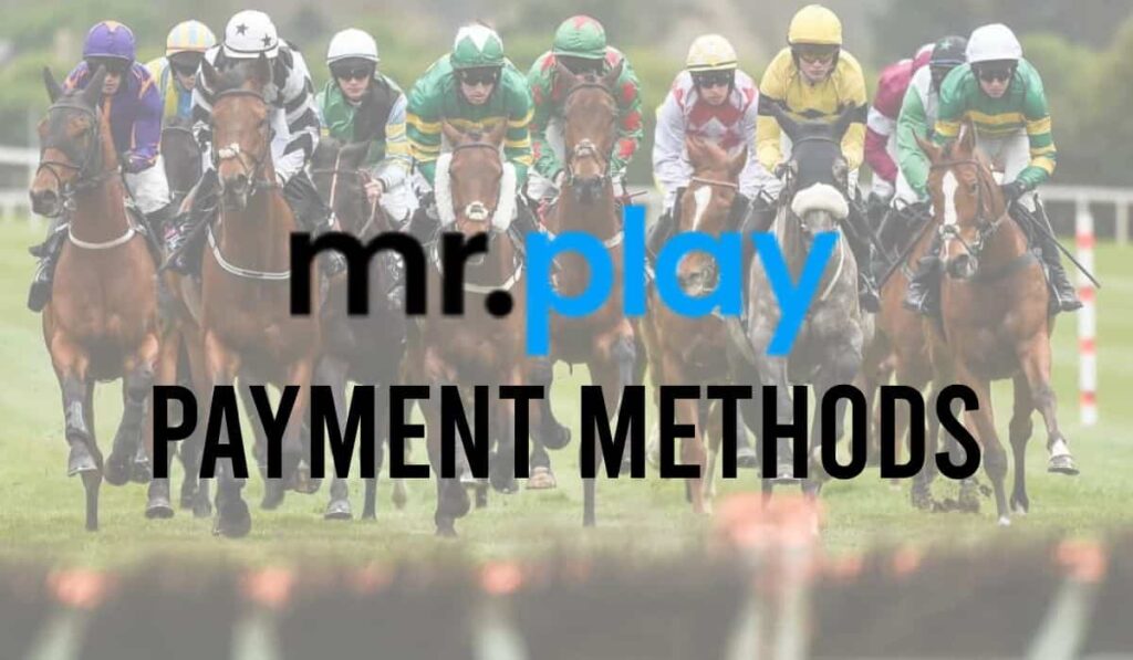 Mr Play Payment Methods