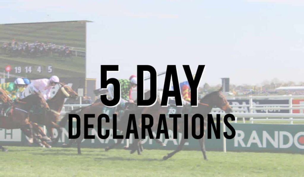 5 Day Declarations