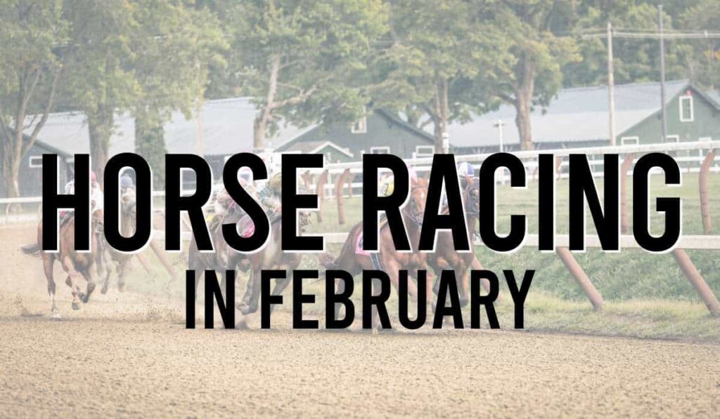 Horse Racing In February