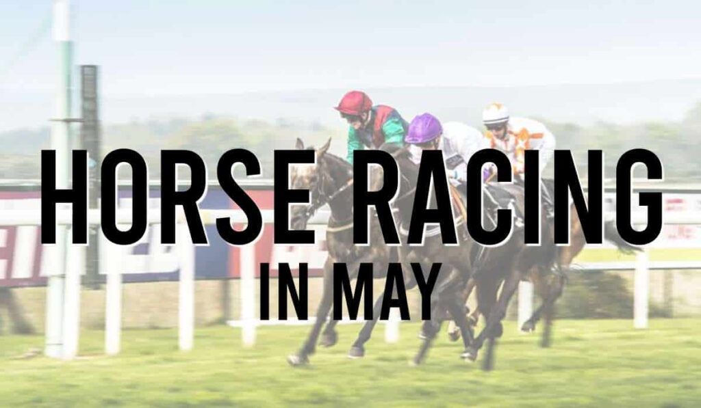 Horse Racing In May