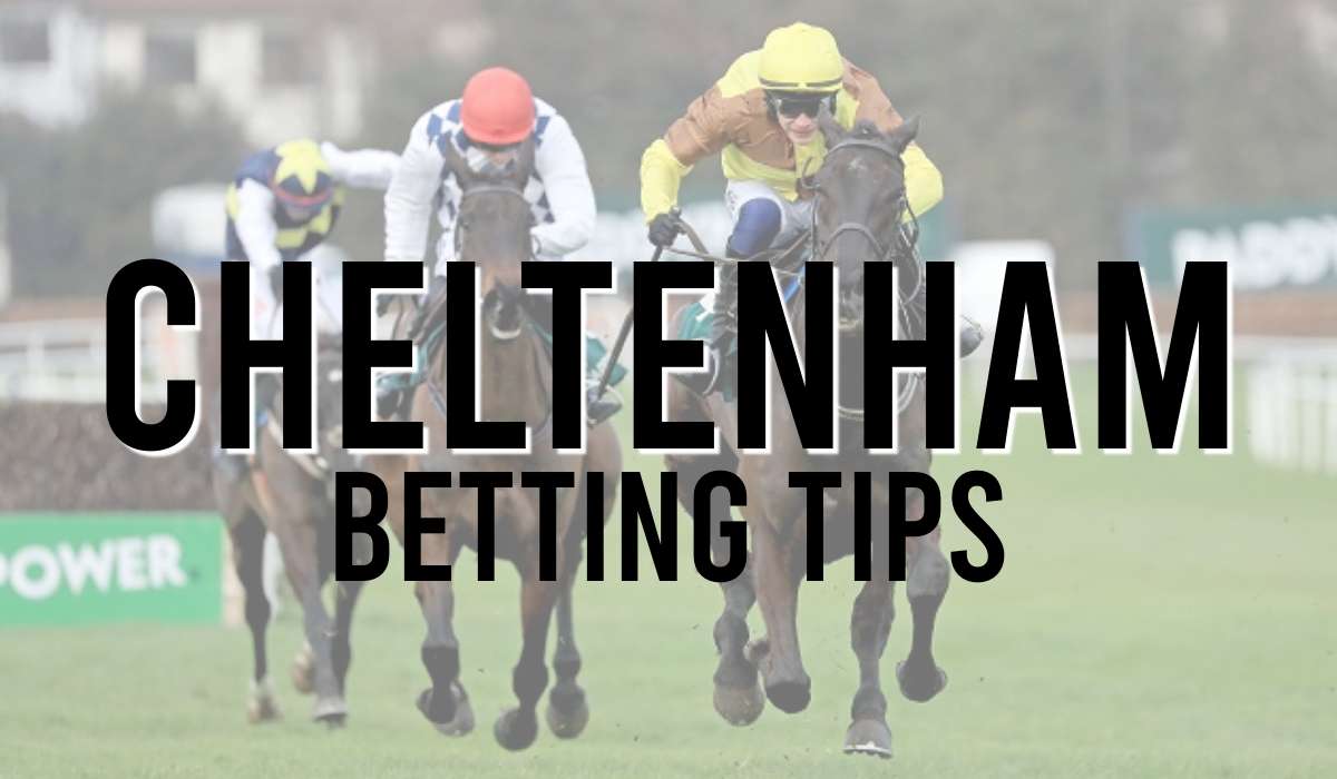 Cheltenham Betting Tips