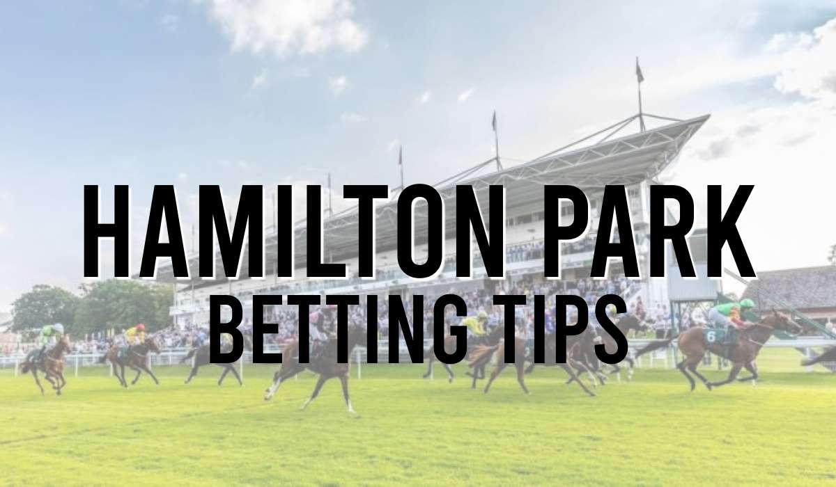 Hamilton Park Betting Tips
