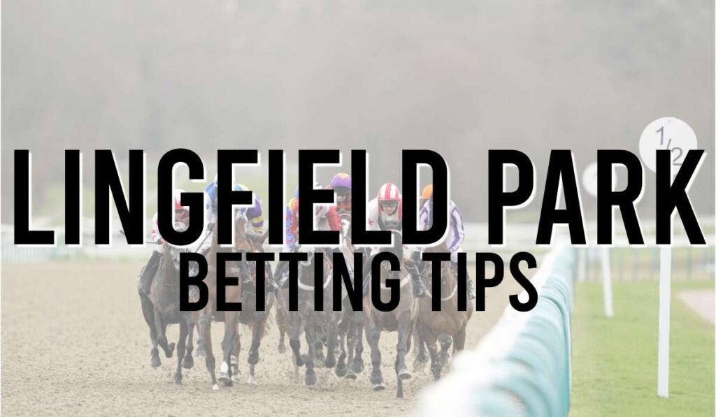 Lingfield Park Betting Tips
