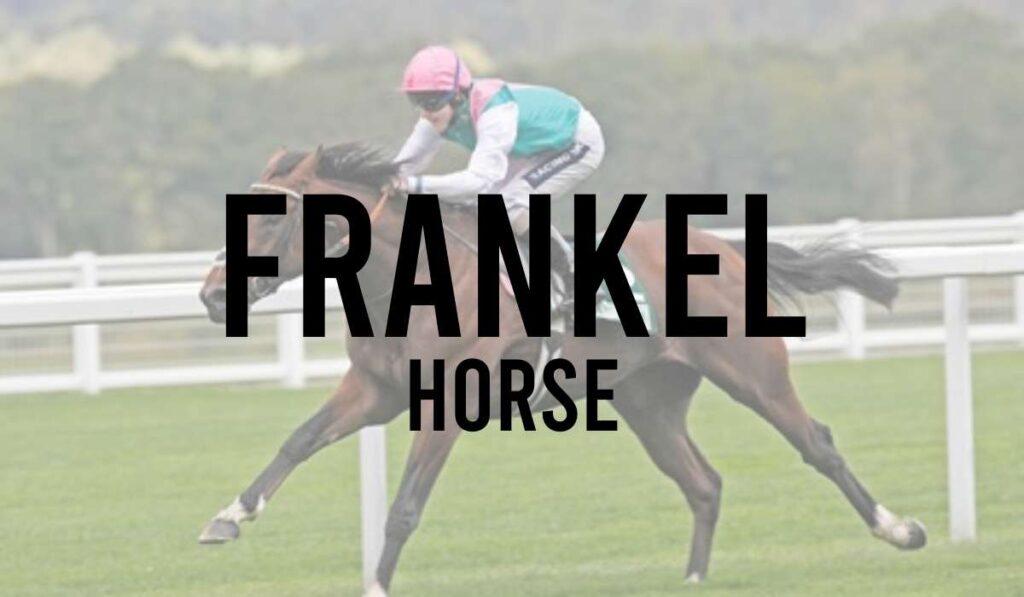 Frankel Horse