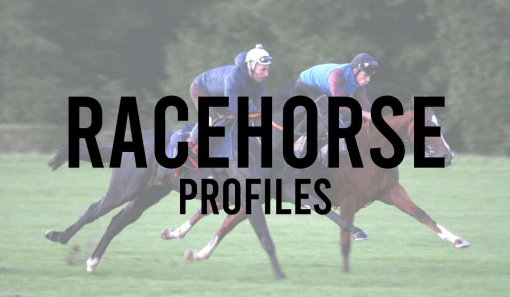 Racehorse Profiles